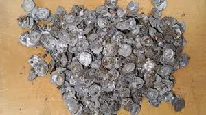 Massive Medieval Coin Hoard Discovered: A Historical Treasure - image 4