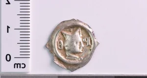 Massive Medieval Coin Hoard Discovered: A Historical Treasure - image 7
