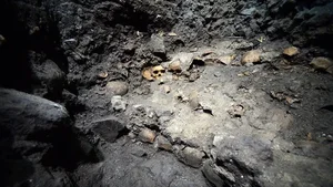 The Mystery of the Huey Tzompantli: Exploring the Aztec Tower of Skulls - image 0