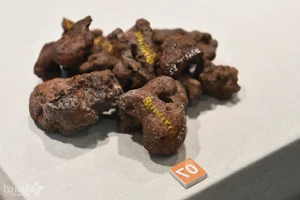 Ancient Military Might: Discovering the Unique Le Dynasty Weapon Collection at Hanoi's Giảng Võ School Exhibition - image 14