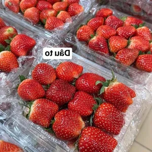 Strawberries Flood Hanoi Markets at Record-Low Prices - image 1