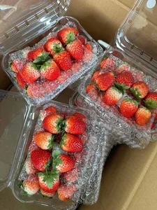 Strawberries Flood Hanoi Markets at Record-Low Prices - image 2