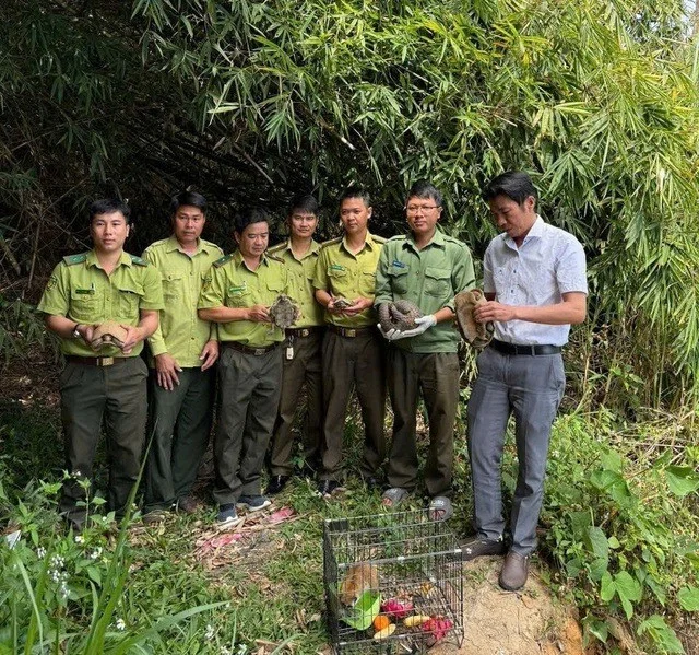 Wildlife Conservation: Releasing 9 Rare Animals in the Central Highlands