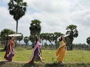 An Giang: Awakening the Tourism Potential of Community-Based Forests and Sugar Palm Groves - image 9
