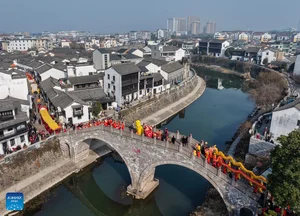 Welcoming the Year of the Snake 2025: Vibrant Celebrations Across China - image 6