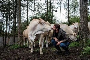 The Secrets Behind Ultra-Aged 15-Year Hibernating Meat Worth Thousands - image 11