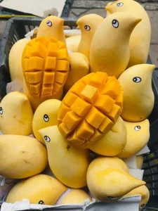 The Fascinating Origin of the Sweet Golden Mangoes Sweeping the Market - image 0