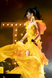 Vietnamese Diva Hong Nhung Stuns Fans with Bold and Edgy Fashion Statement - image 9