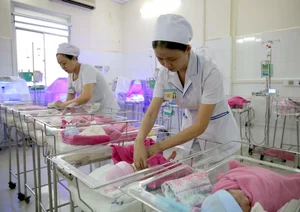Expanding Childbirth Support: New Policies and Financial Incentives for Modern Families - image 2