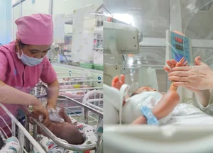 Expanding Childbirth Support: New Policies and Financial Incentives for Modern Families - image 0