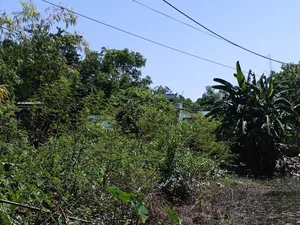 Isolated Urban Oasis: Residents Cut Off by Unfinished Road Project - image 5