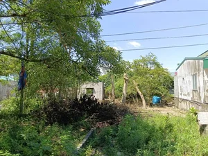 Isolated Urban Oasis: Residents Cut Off by Unfinished Road Project - image 3