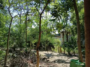 Isolated Urban Oasis: Residents Cut Off by Unfinished Road Project - image 7