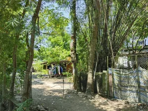 Isolated Urban Oasis: Residents Cut Off by Unfinished Road Project - image 6