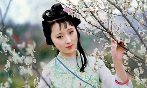 Who is the Most Beautiful Woman in Dream of the Red Chamber? - image 2