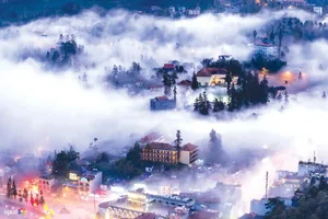 Stunning Sapa Wallpapers: Best High-Quality Backgrounds for PC and Mobile - image 5