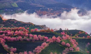 Stunning Sapa Wallpapers: Best High-Quality Backgrounds for PC and Mobile - image 0