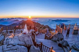 Stunning Sapa Wallpapers: Best High-Quality Backgrounds for PC and Mobile - image 3