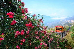 Stunning Sapa Wallpapers: Best High-Quality Backgrounds for PC and Mobile - image 6