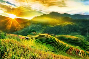 Stunning Sapa Wallpapers: Best High-Quality Backgrounds for PC and Mobile - image 7