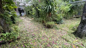 Inside the Late Artist Giang Coi's Spectacular 10,000m2 Garden Estate - image 4