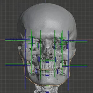 The Real Face of Santa Claus: Forensic Science Reconstructs Saint Nicholas - image 6