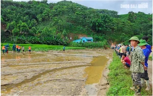 Heartwarming Donations and Messages Supporting Northern Vietnam Relief Efforts - image 3