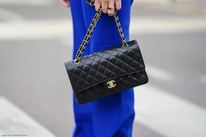 7 Iconic Luxury Handbags That Defined Fashion History and Timeless Style - image 33
