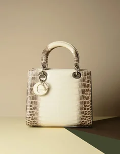 7 Iconic Luxury Handbags That Defined Fashion History and Timeless Style - image 16