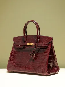 7 Iconic Luxury Handbags That Defined Fashion History and Timeless Style - image 30