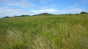 The Haunting Legacy of the Abandoned Biological Weapons Island - image 3