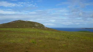 The Haunting Legacy of the Abandoned Biological Weapons Island - image 2