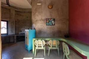 The Cactus House: A Unique Brick Masterpiece of Organic Architecture - image 1