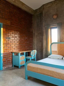 The Cactus House: A Unique Brick Masterpiece of Organic Architecture - image 2