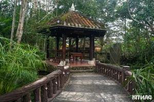 Preserving Heritage: The 200-Year-Old Jackfruit Wood House in Da Nang - image 8