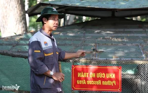 The Rare Albino Python: A Majestic Resident of Dong Tam Snake Farm - image 8