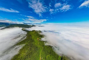 Captivating Beauty of Ta Xua Cloud Paradise in Vietnam - image 2