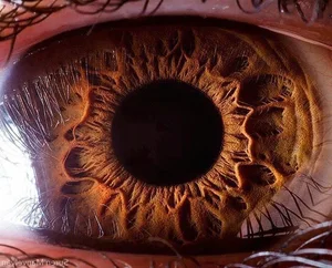 15 Greatest Unsolved Mysteries of the Planet That Baffle Humanity - image 8