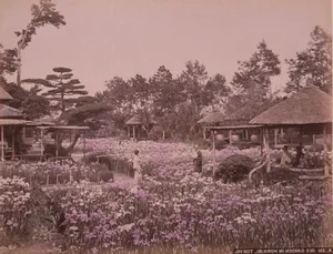 Rare Historical Photos Reveal Daily Life in 1800s Japan - image 1