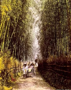 Rare Historical Photos Reveal Daily Life in 1800s Japan - image 2