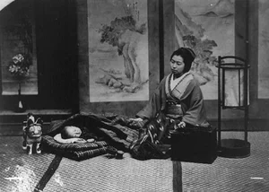 Rare Historical Photos Reveal Daily Life in 1800s Japan - image 7