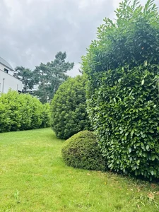 Step Inside the Fairytale 1,000m2 Garden of Singer My Le - image 7