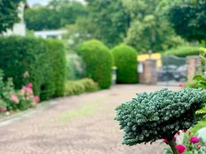 Step Inside the Fairytale 1,000m2 Garden of Singer My Le - image 1