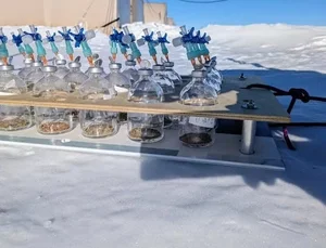 Survival in the Extremes: Experts Reveal Microorganisms Thriving in Antarctica's Harsh Climate - image 5