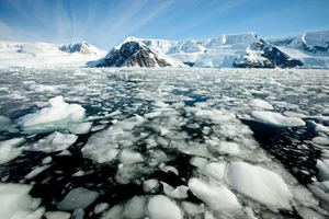 Survival in the Extremes: Experts Reveal Microorganisms Thriving in Antarctica's Harsh Climate - image 6