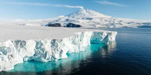 Survival in the Extremes: Experts Reveal Microorganisms Thriving in Antarctica's Harsh Climate - image 7