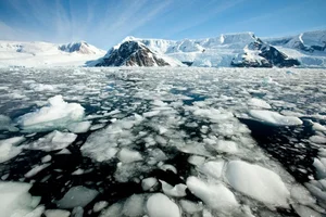 Survival in the Extremes: Experts Reveal Microorganisms Thriving in Antarctica's Harsh Climate - image 2