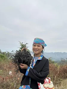 Canna Vermicelli Queen Sung Bau Welcomes Second Child and Shares Life Update - image 4