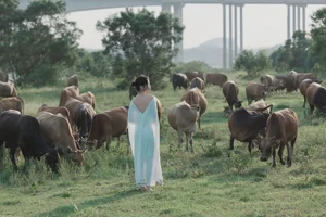 YiTuYu Art Language Vol.9995: Explore the 22-Page Visual Journey of Jiu Mi - image 19