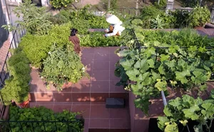 Innovative Terraced Roof Garden House Featured in US Media - image 1